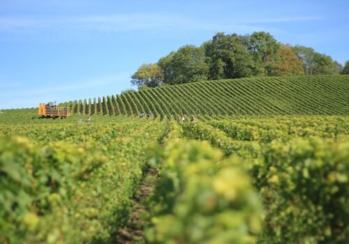 Investir dans l&rsquo;immobilier à Reims : Maximisez votre patrimoine