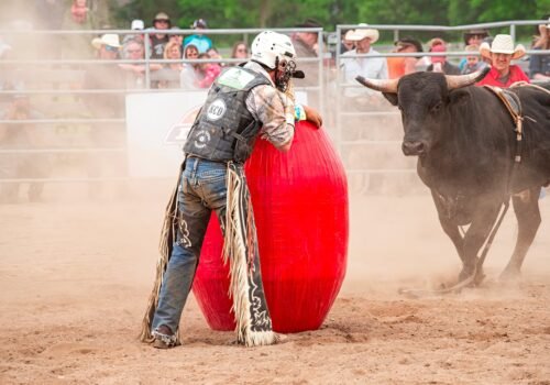 Vendre seul ou avec une agence : Optez pour l&rsquo;hybride !
