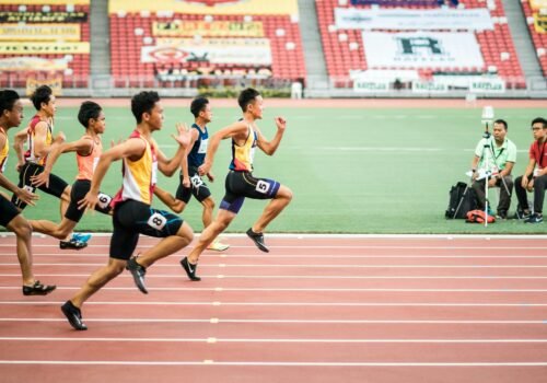 Les Agences Immobilières Bas Prix : Une Révolution